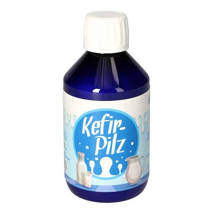 Kefir Pilz zur Bereitung aus Milch, 1 St n.v