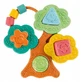 Sorteer- en stapelspeelgoed, Baobab-vormensorteerder, 6–36 maanden, Chicco