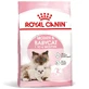 ROYAL CANIN Mother & BabyCat, pienso seco para gatas y gatitos, 2 kg