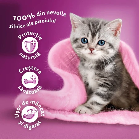 WHISKAS Junior Classic Selections, agneau, bœuf, poulet et volaille, aliments humides pour chats en sachets (en sauce), lot de 12 sachets de 85 g