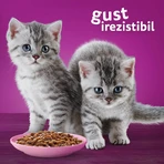WHISKAS Junior Classic Selections, agneau, bœuf, poulet et volaille, aliments humides pour chats en sachets (en sauce), lot de 12 sachets de 85 g