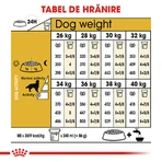 ROYAL CANIN Golden Retriever Adult, pienso seco para perros, 3 kg