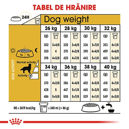 ROYAL CANIN Golden Retriever Adult, pienso seco para perros, 3 kg