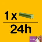 PEDIGREE DentaStix Daily Fresh, przysmaki dla psów małych ras, pałeczki, z zieloną herbatą, 7 sztuk: ceny i cechy
