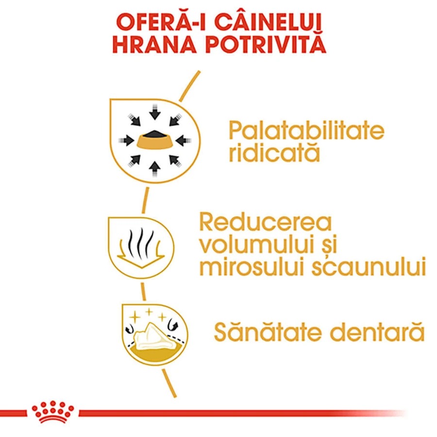 ROYAL CANIN Chihuahua Adult, hrană uscată câini, 1.5kg