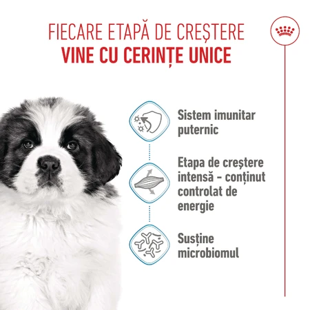ROYAL CANIN Giant Puppy, droogvoer voor jonge honden, groeifase 1, 3,5 kg