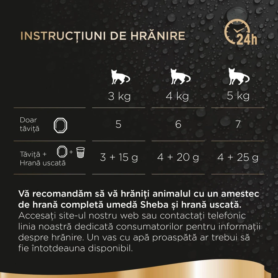 SHEBA Perfect Portions, Tuna, Wet Cat Food Trays (in Sauce), Multipack, 37.5 g x 6