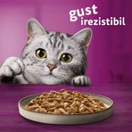 WHISKAS Pure Delight Mixed Selection, Beef, Chicken, Salmon, and Tuna, wet cat food pouches (in aspic), multipack, 85g x 12