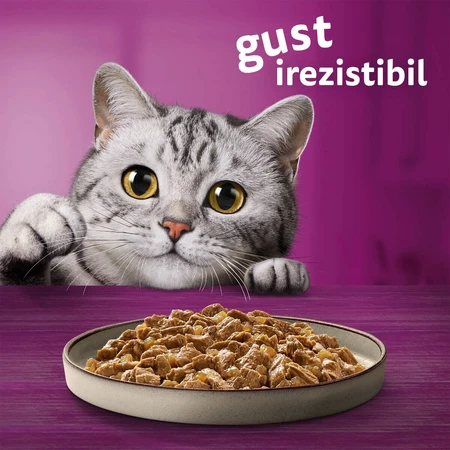 WHISKAS Pure Delight Mixed Selection, Beef, Chicken, Salmon, and Tuna, wet cat food pouches (in aspic), multipack, 85g x 12