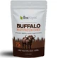 Biologist | Buffalo Whey Protein Choco Buffalo Whey Protein with Cocoa | 500g 
