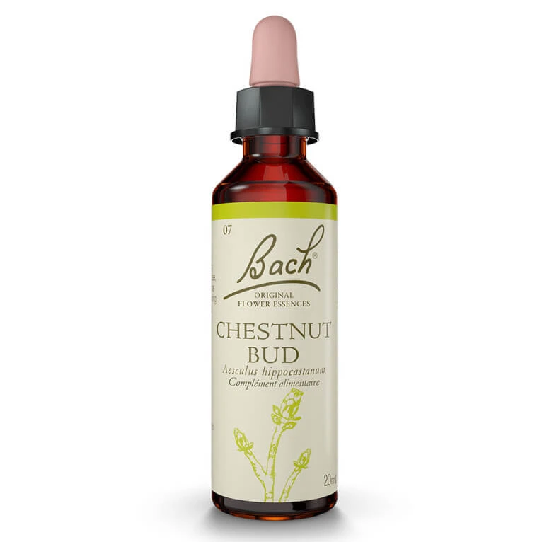 BACH-BLÜTEN-MITTEL „CHESTNUT BUD“ Nr. 07 20 ml