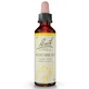 REMEDIO FLORAL DE BACH «HORNBEAM» N.º 17, 20 ml