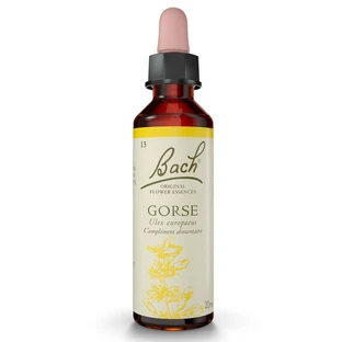 REMEDIO FLORAL DE BACH: GORSE n.º 13, 20 ml