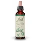 FLORI DE BACH – ELIXIR WALNUT Nr. 33 20 ml