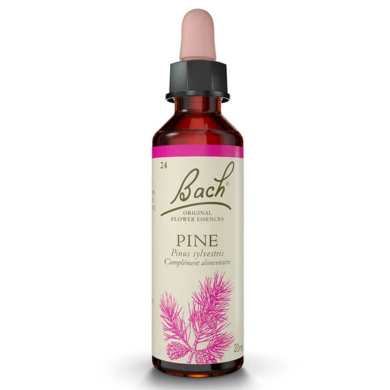 BACH-BLÜTEN-MITTEL PINE Nr. 24 20 ml