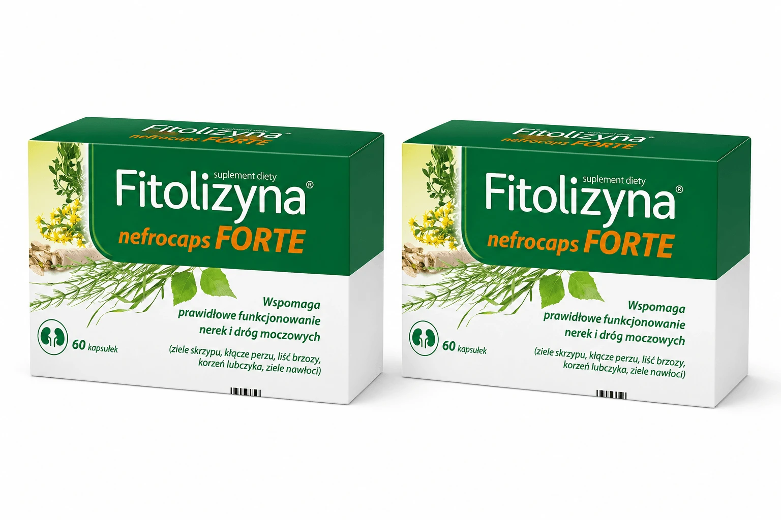 Fitolizyna Nefrocaps Forte, 2x60 Kapseln