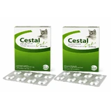 Wewnętrzny środek przeciwpasożytniczy dla kotów Chestal Cat Chew, 2x8 tabletek do żucia, Ceva Sante