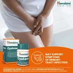 Cystone, 4x100 Tabletten, Himalaya