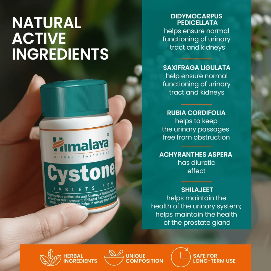 Cystone, 4x100 Tabletten, Himalaya