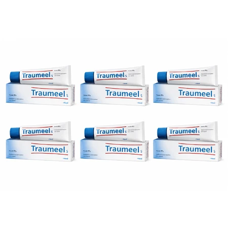 Traumeel S Salbe, 6x50 g, Heel