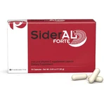 Sideral FORTE, 4x30 capsule, Zentiva