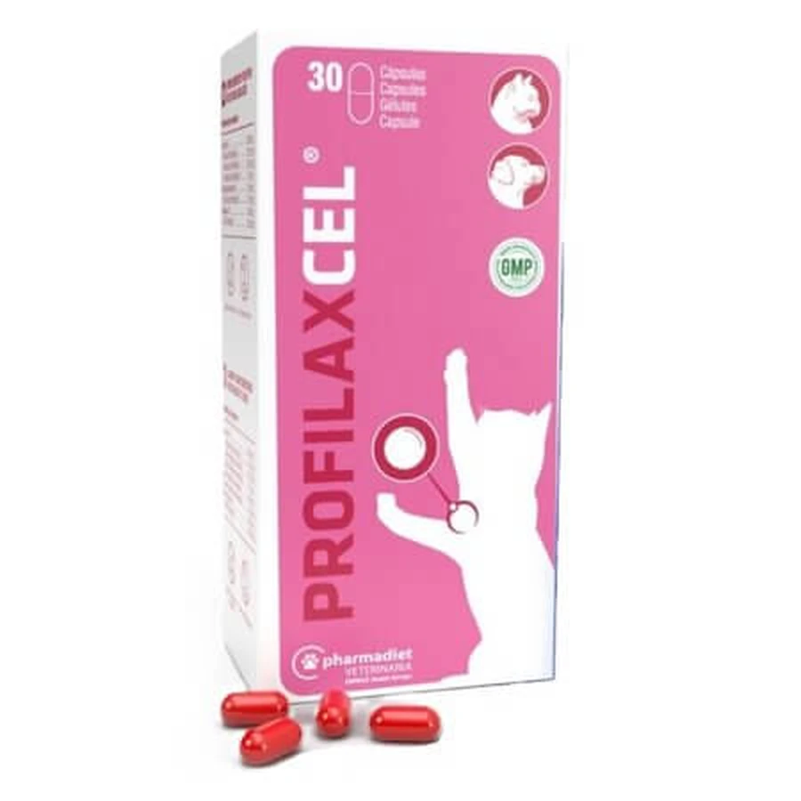 Profilaxcel Nutritional Supplement for Dogs and Cats, 30 capsules, Pharmadiet