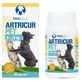Artricur – Nahrungsergänzungsmittel für Gelenke und Beweglichkeit bei Hunden und Katzen, 200 mg, 60 Kapseln, Aloeplus
