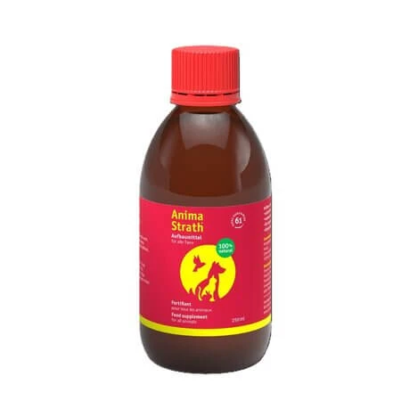 Anima-Strath Stärkungssirup für Hunde und Katzen, 250 ml, Bio-Strath