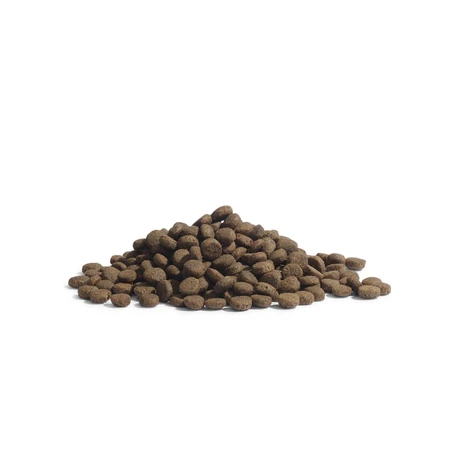 ESSENTIAL Panther, Somon și Pește alb, hrană uscată fără cereale pisici sterilizate senior, 1.5kg