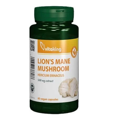 Löwenmähnen-Extrakt, 500 mg, 60 vegetarische Kapseln, Vitaking