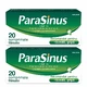 Parasinus