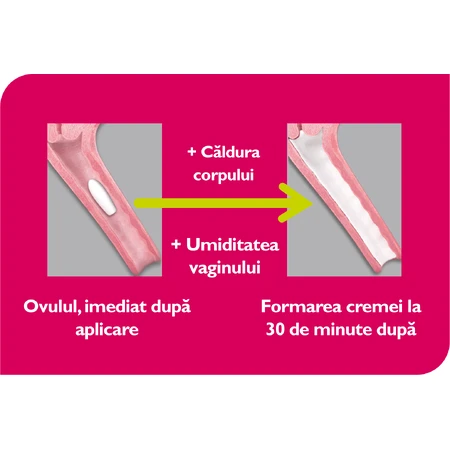 Vagisan Lactic Acid Vaginal Suppositories, 2x7 pieces, Vagisan