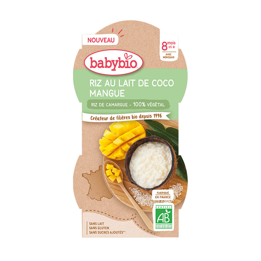 Bio-Reisdessert mit Kokosnusscreme und Mango, 2 x 100 g, BabyBio