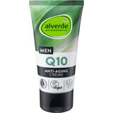 Alverde Naturkosmetik MEN Anti-Falten-Creme Q10, 50 ml