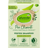 Alverde Naturkosmetik Pro Klima festes Shampoo Apfelgrün, 60 g