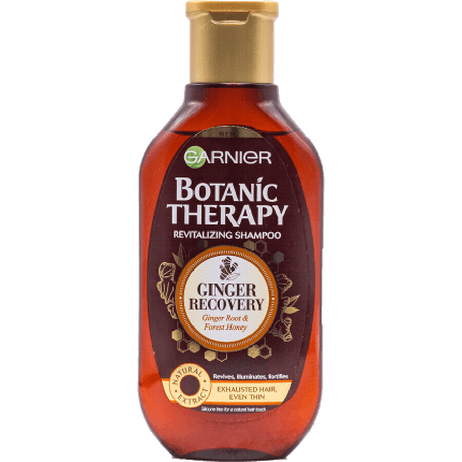 Botanic Therapy Şampon cu ghimbir organic şi miere, 250 ml