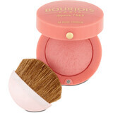 Buorjois Paris Rouge 54 Rose Frisson, 2,5 g