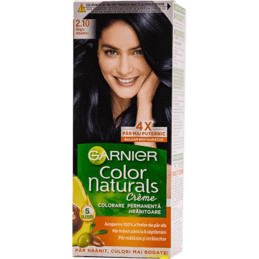 Color Naturals Vopsea de păr permanentă 2.10 Negru Albăstrui, 1 buc