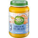 DmBio Menu Karotten mit Reis und Lachs ECO 5+, 190 g