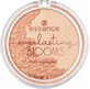 Essence Cosmetics everlasting BLOOMS duo highlighter iluminator Bloom Wild &amp; Shine Bright!, 10 g