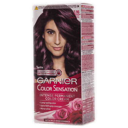 Garnier Color Sensation Dauerhafte Farbe 3.16 Tief Amethyst, 1 Stück