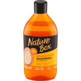 Nature Box Haarshampoo mit Arganöl, 385 ml