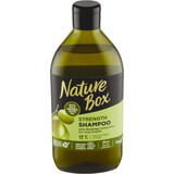 Nature Box Haarshampoo mit Olivenöl, 385 ml