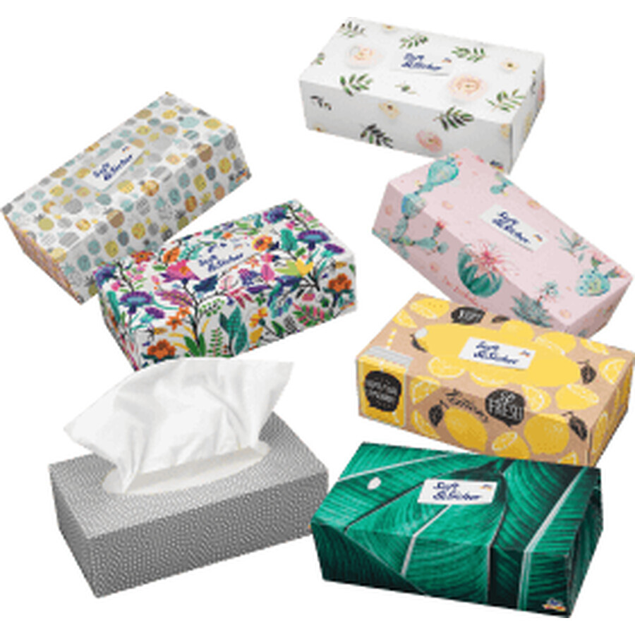 Soft&amp;Sicher Tissues box 100pcs 4-layer, 100 pcs