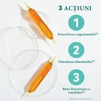 Detox Bio, 20 Fläschchen, Santarome