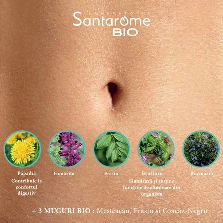 Detox Bio, 20 Fläschchen, Santarome