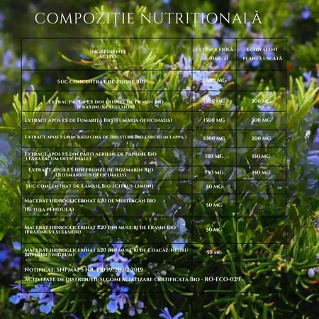 Detox Bio, 20 Fläschchen, Santarome