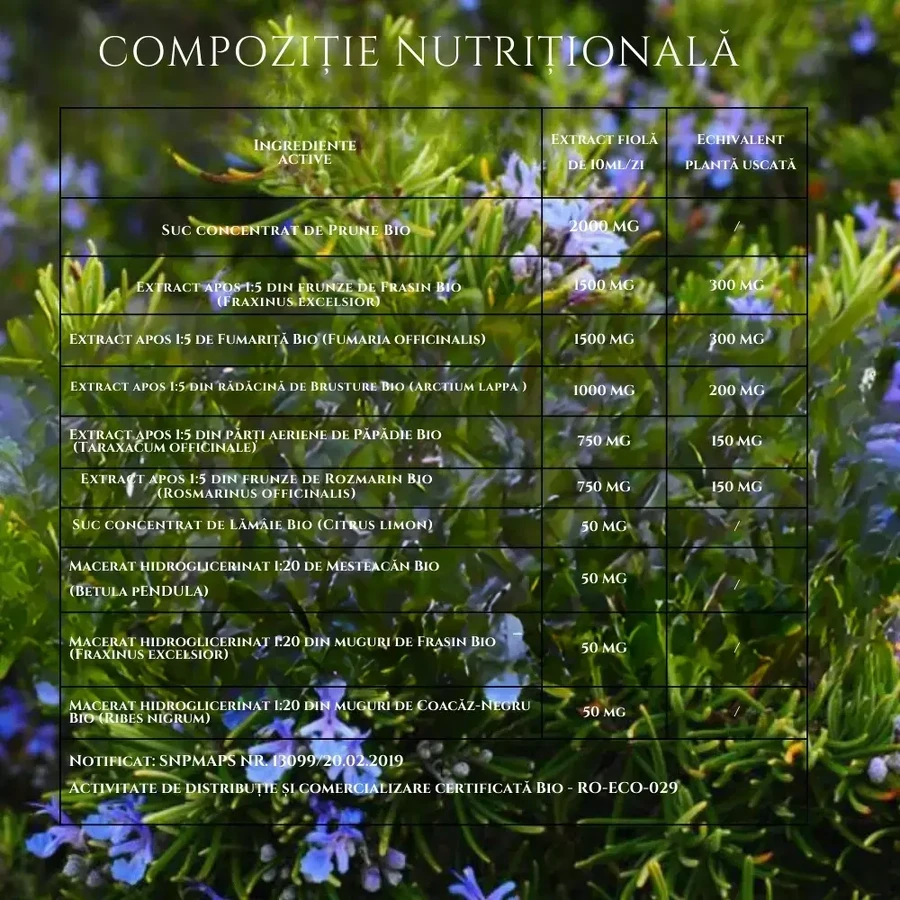 Detox Bio, 20 Fläschchen, Santarome