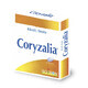 Coryzalia